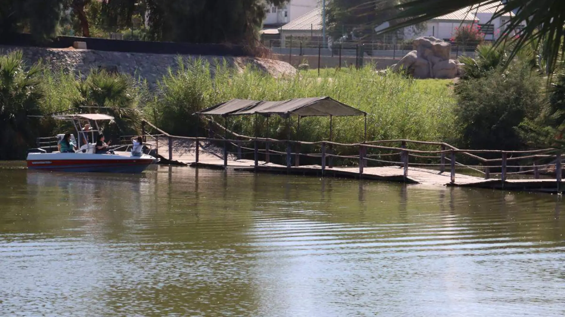 puente bosque1